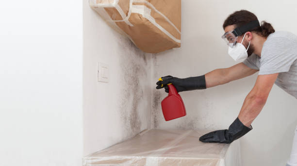 Professional Attic Mold Removal technician working in Thorofare, NJ