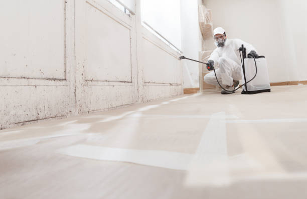24/7 Emergency Attic Mold Removal experts in Thorofare, NJ