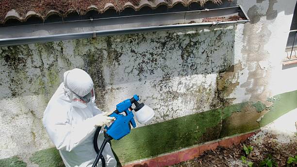 Trusted Commercial Mold Remediation service in Thorofare, NJ - Cheap Mold Removal